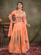 Peach Orange Embroidered Lehenga Set with Designer Blouse & Matching Dupatta